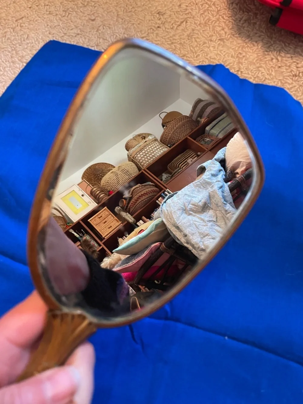Vintage dried leaves handheld mirror